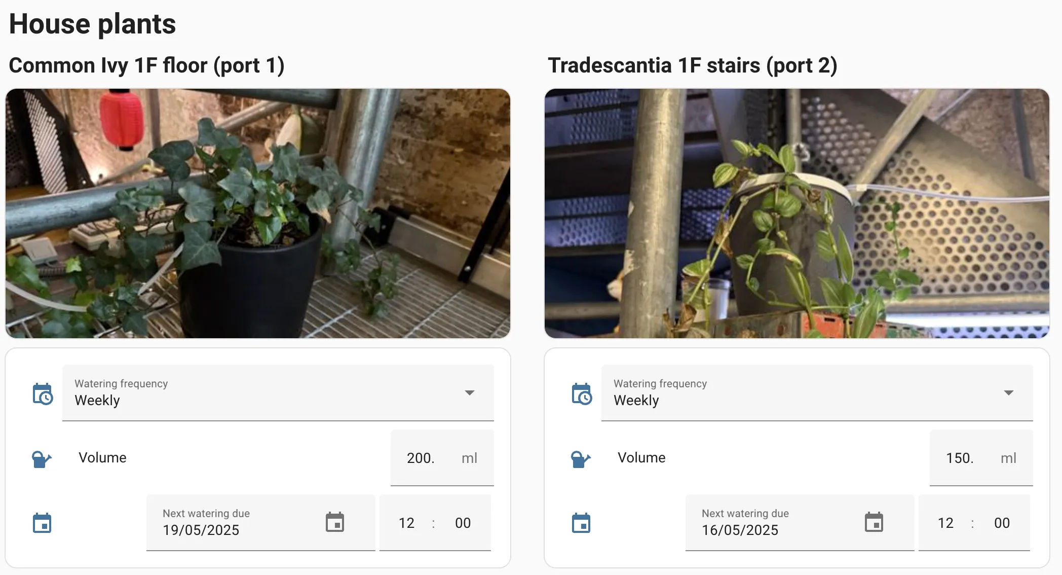 Plant dashboard in Home Assistant