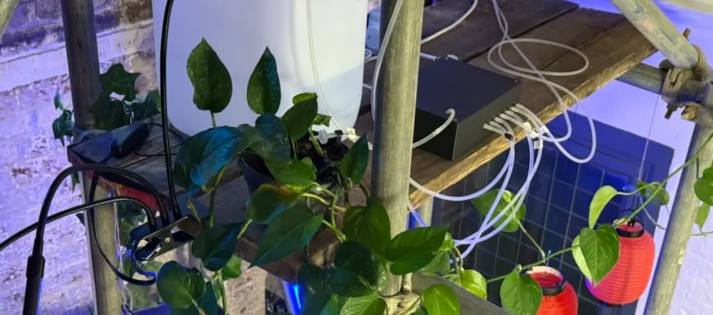 My watering system